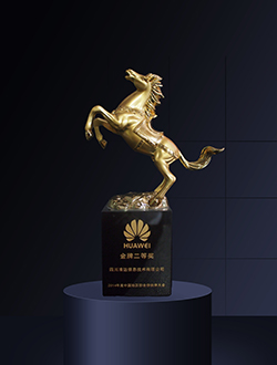 2014年度中国地区部合作伙伴大会金牌二等奖